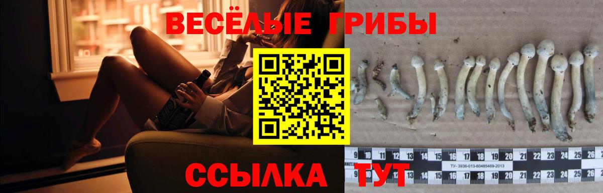Галлюциногенные грибы Magic Shrooms  Вход с VPN  Галлюциногенные грибы мухоморы  что такое наркотик  Тында 